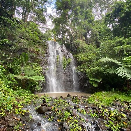 Nimbin Waterfall Retreat Экстерьер фото