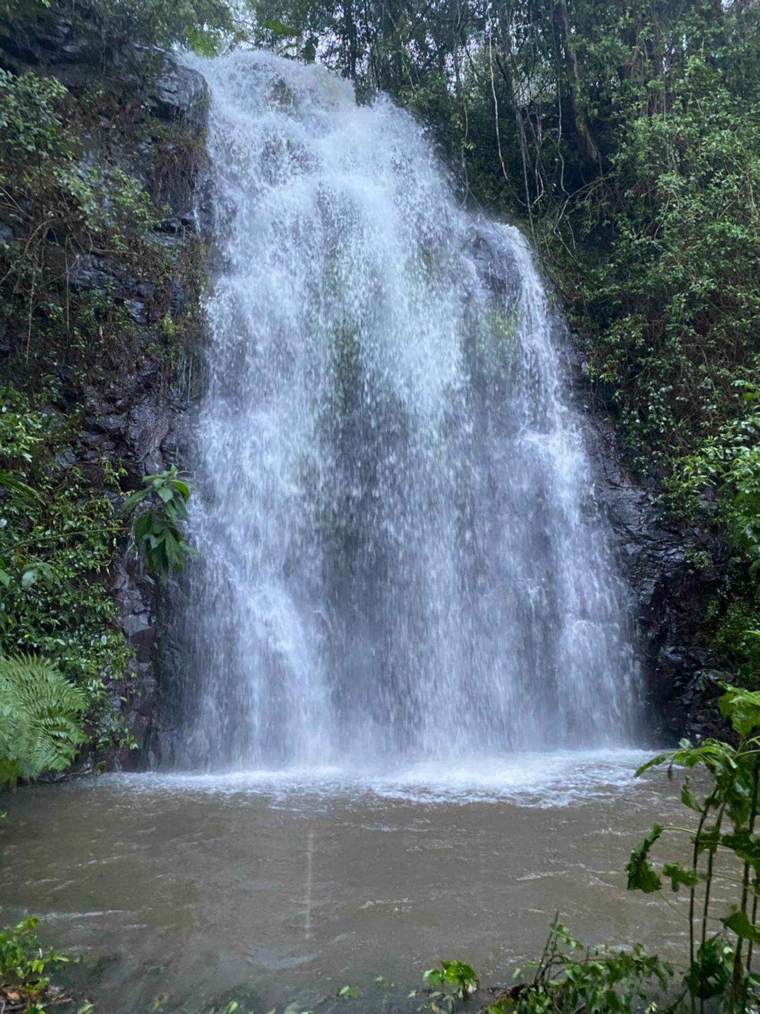 Nimbin Waterfall Retreat Экстерьер фото