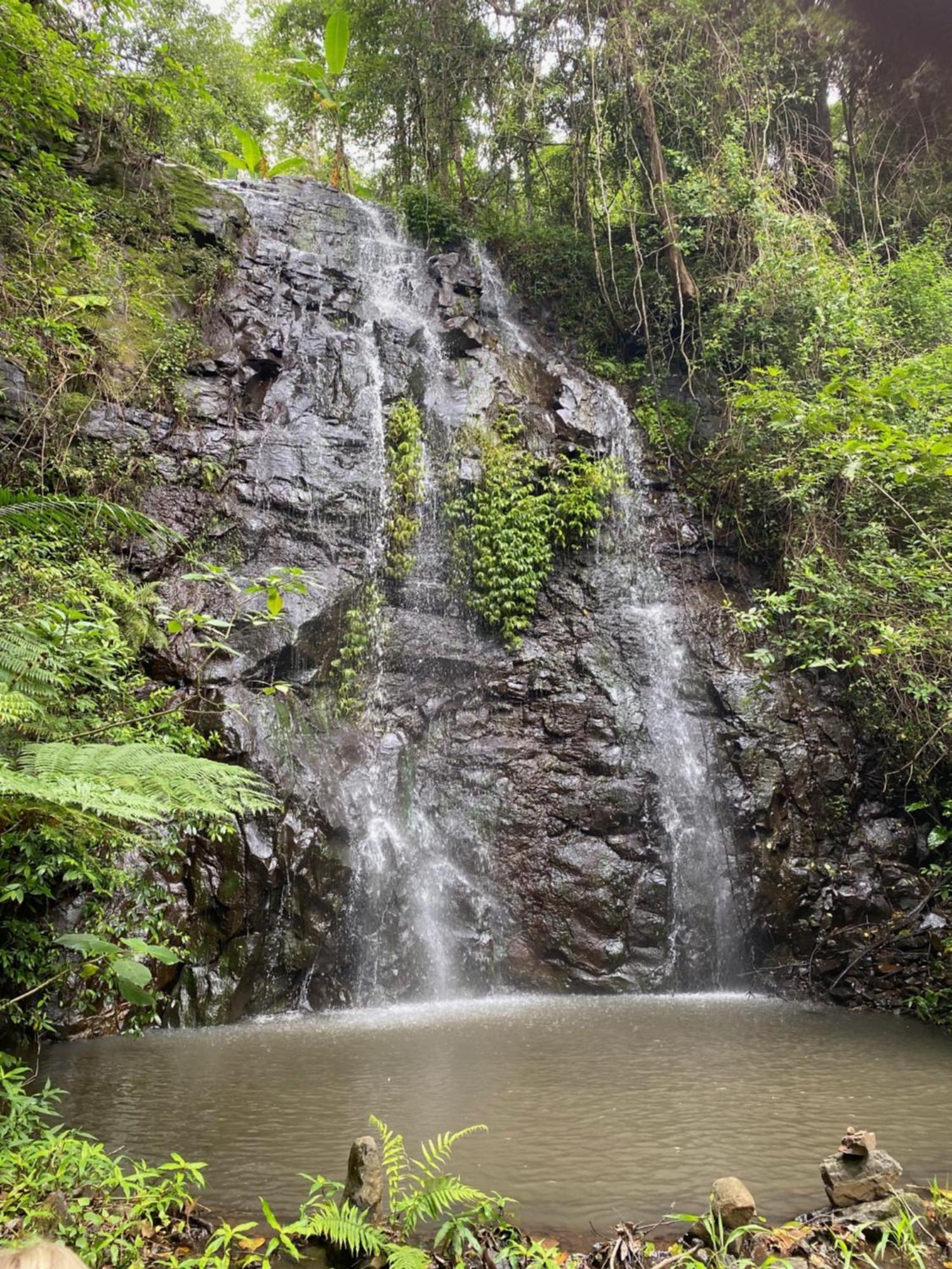 Nimbin Waterfall Retreat Экстерьер фото
